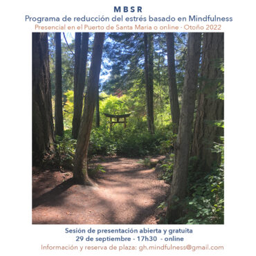 Curso de reducción del estrés basado en Mindfulness • MBSR