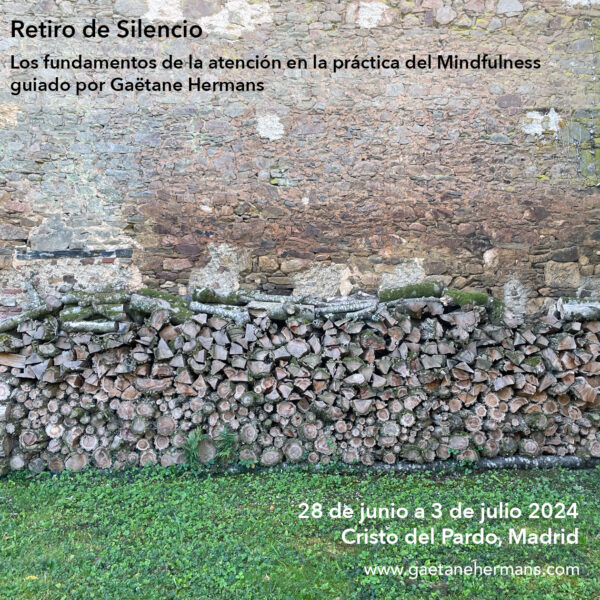 RETIRO de Silencio 28 de junio al 3 de julio 2024 • Los pilares de la atención en Mindfulness – Madrid