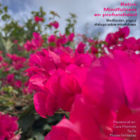 Retiro de fin de semana • Mindfulness en profundidad • Tarifa