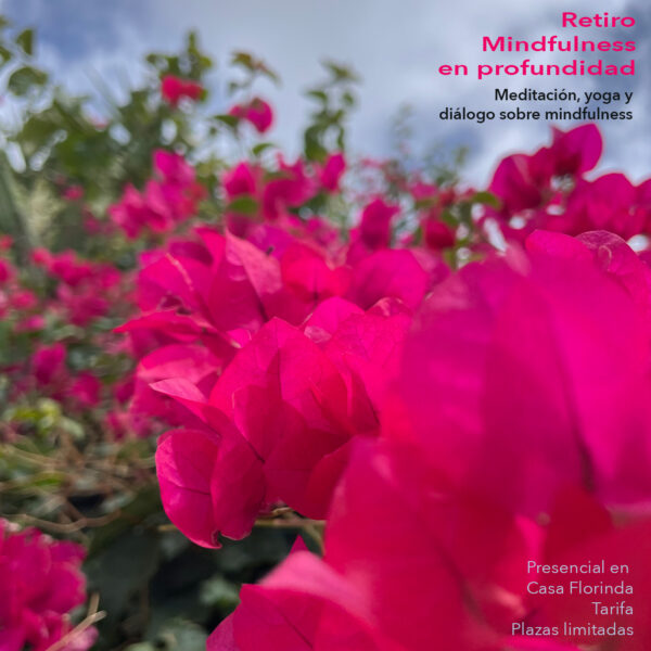 Retiro de fin de semana • Mindfulness en profundidad • Tarifa