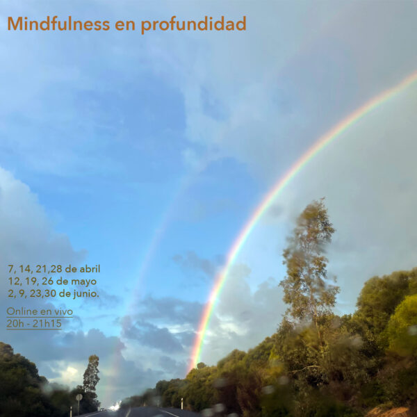 Mindfulness en profundidad